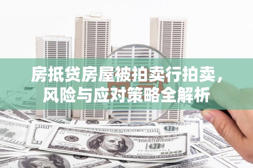 昌宁房抵贷房屋被拍卖行拍卖，风险与应对策略全解析