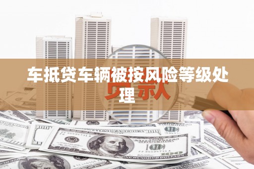 卧龙车抵贷车辆被按风险等级处理