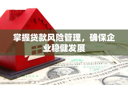 民丰掌握贷款风险管理，确保企业稳健发展