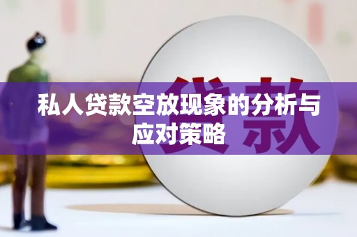 灵武私人贷款空放现象的分析与应对策略